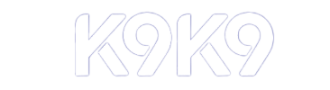 K9K93